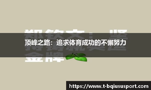 球速体育